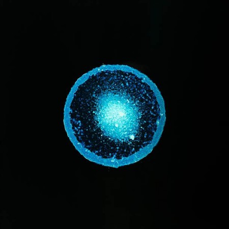 Sarah Schoenfeld , héroïne